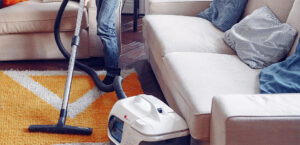 professional free upholstery cleaning