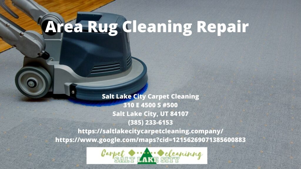 Area Rug Cleaning Repair