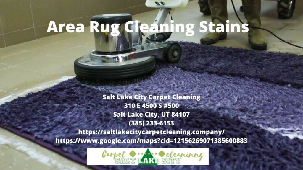 Area Rug Cleaning Stains
