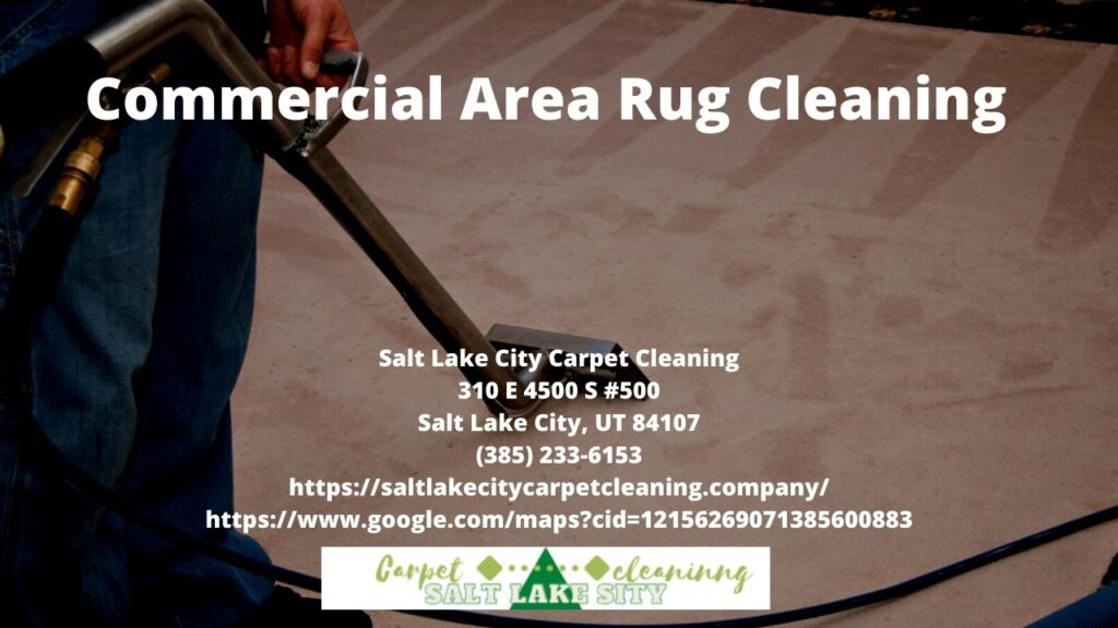 Commercial Area Rug Cleaning