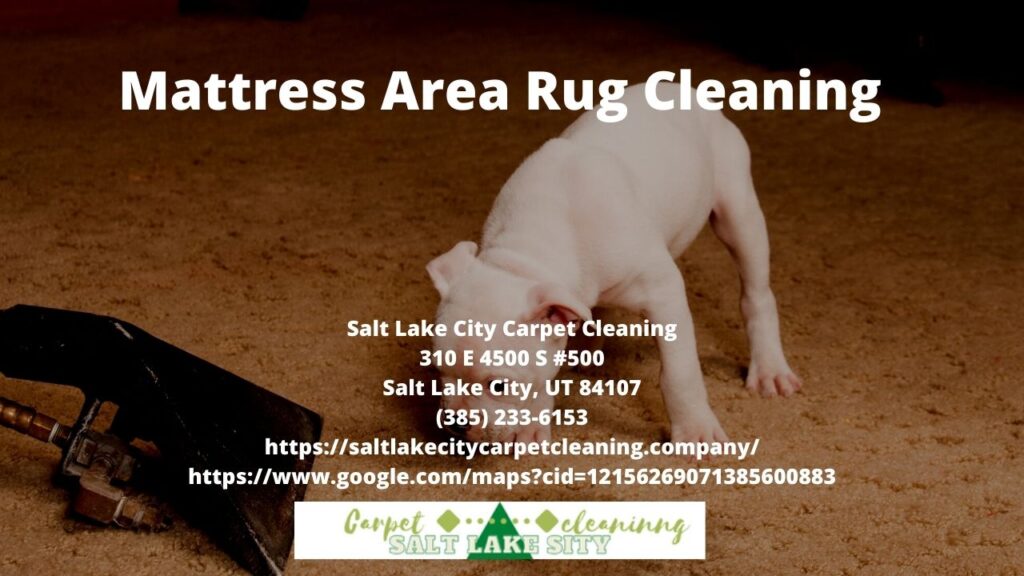 Mattress Area Rug Cleaning