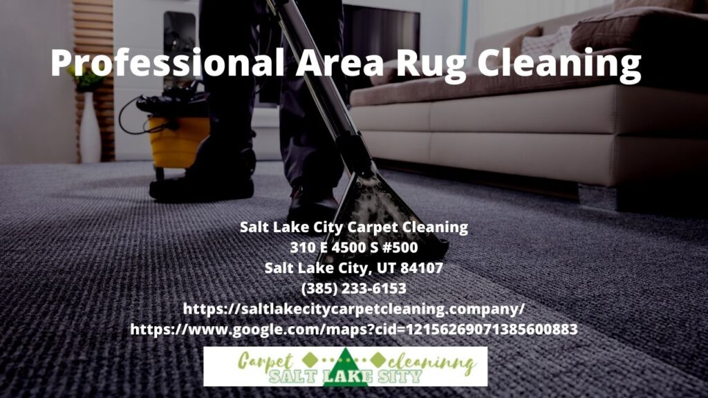Professional Area Rug Cleaning