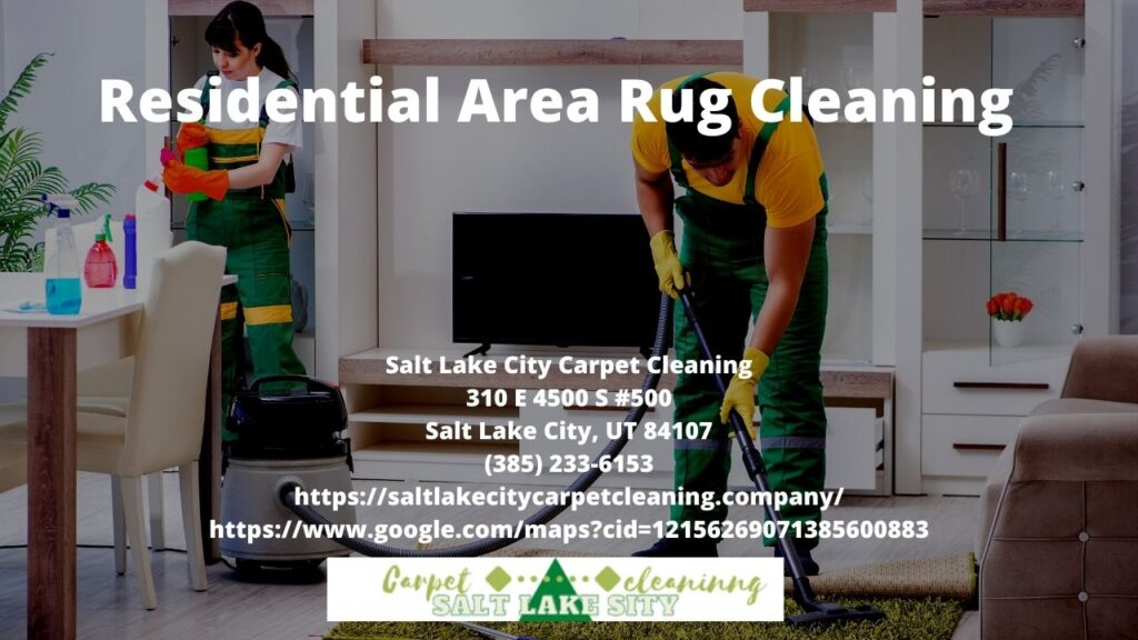 Residential Area Rug Cleaning