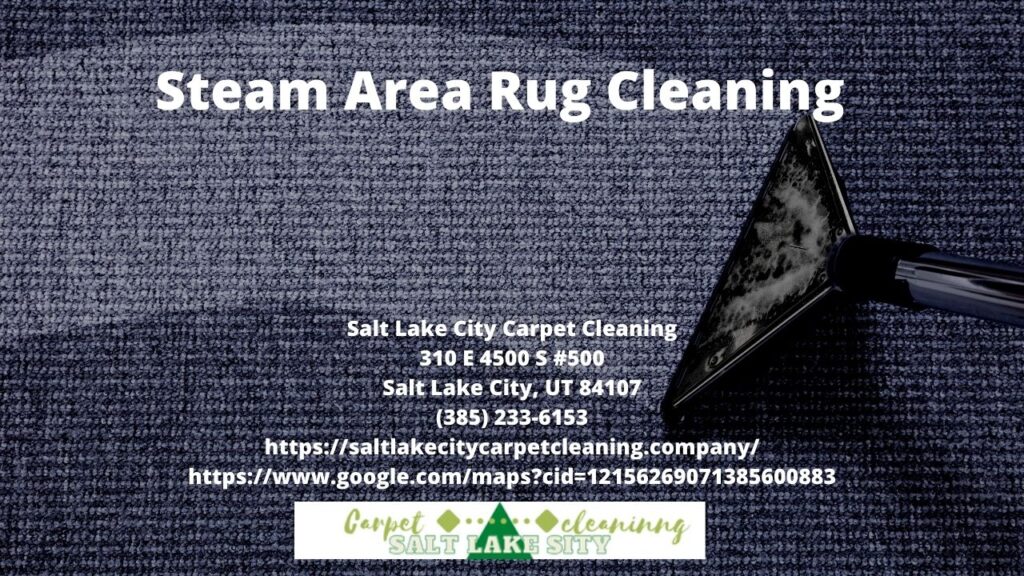 Steam Area Rug Cleaning