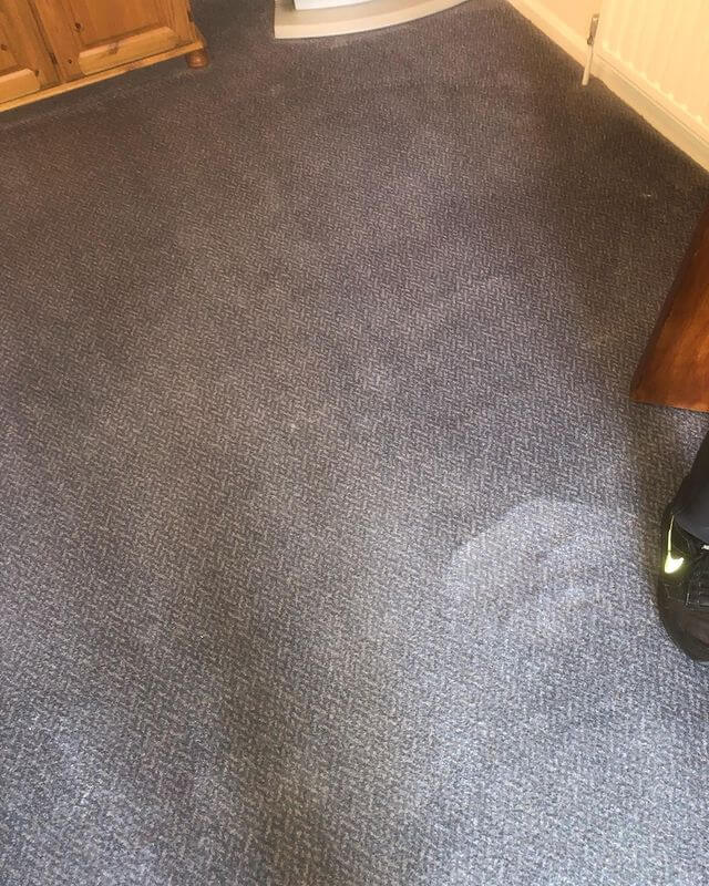 Emergency Upholstery Cleaning